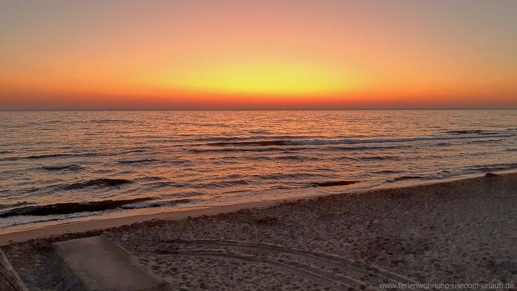 zinnowitz-fewo-luck-1-2 zinnowitz-fewo-luck-1-2